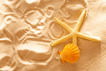 Wall Mural - Sea star, shell and prints on sand