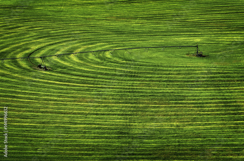 Fotomural Farm Field with Circle Pivot Irrigation Sprinkler