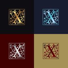 Letter X Decorative Logo