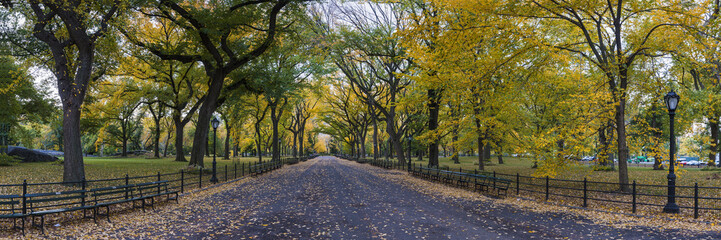 Wall Mural - Panorama of The Mall in Central Park, New York on a beautiful Fall day