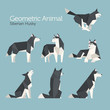 geometric low poly husky dog flat design illustration set