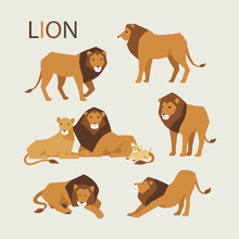 Lion Family Various Poses Flat Design Illustration Set