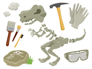 Wall Mural - Dinosaur Fossils Paleontology Elements