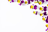 Fototapeta Motyle - Pansy flowers, summer wildflowers on white background, overhead