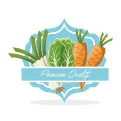 Wall Mural - vegetables premium quality food vector illustration eps 10