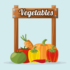 Wall Mural - vegetables organic nature image vector illustration eps 10