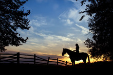 Silhouette Of Woman Sitting On A Horse