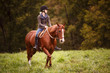 © Shelley Paulson - Young woman riding horse in field