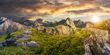 Fototapeta Góry - Composite panorama of dandelions among the rocks in High Tatra Mountain ridge in the distance. Beautiful landscape on summer sunset with cloudy sky