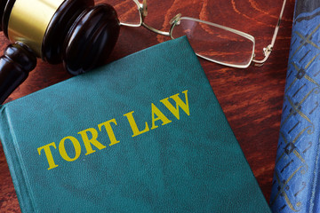 Wall Mural - Tort law title on a book and gavel.