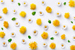 © virtustudio - Daisy and dandelion pattern. Flat lay spring and summer flowers with green leaf on a white background. Repeat concept. Top view
