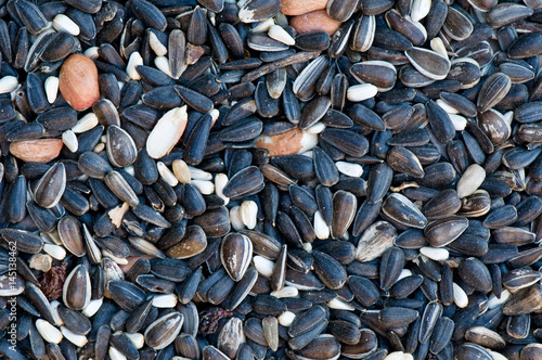 Fotografía Sunflower and bird seed close up background