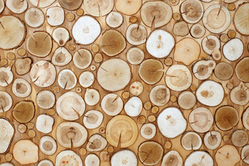 A wall of saws of trees of different sizes, a natural tree, a wallpaper