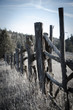 Fenceposts in the desert