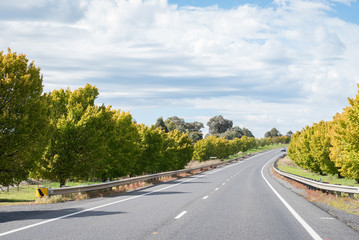 Wall Mural - Beautiful road in autumn in the regional area of Australia.