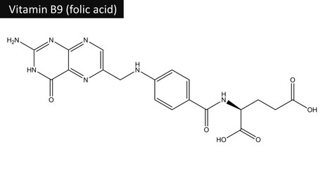 Wall Mural - Molecular structure of folic acid (vitamin B9)