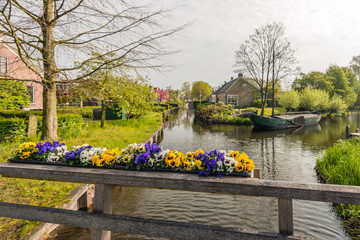 Wall Mural - Violas blooming on a wooden bridge railing