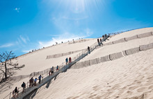 Dune Du Pyla - The Largest Sand Dune In Europe, Aquitaine, France