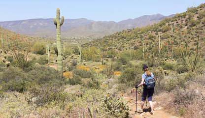 a woman hikes the go john trail, arizona