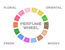 Perfume Wheel Vector