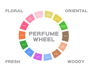 perfume wheel vector