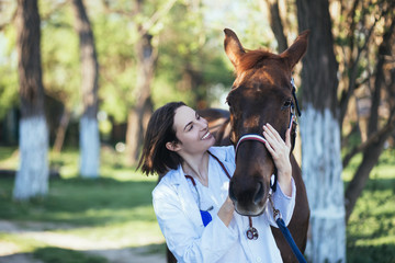 Vet petting a horse outdoors at ranch.