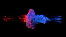 Color Paint Drops In Water. Ink Swirling Underwater. Cloud Of Silky Ink Collision Isolated On Black Background. Colorful Abstract Smoke Explosion Animation. Close Up Camera View.