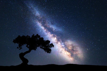 milky way with alone old tree on the hill. colorful night landscape with milky way, sky with stars a