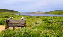 Hikers Rest On A Bench By The Trail To Abbott's Lagoon In The Pt. Reyes National Seashore North Of San Francisco