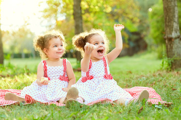 happy twin sisters children. girls sister in a park at a picnic