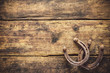 Two old rusty horseshoes
