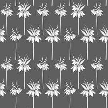 Floral Vector Seamless Pattern With Hand Drawn Orange Lilies -  Kaiser's Crown Flowers. Black And White Flowers On Dark Gray  Background.
