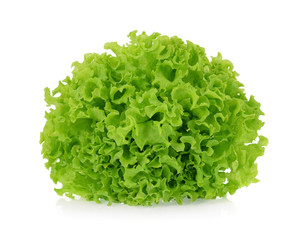 Green oak lettuce isolated on white background.