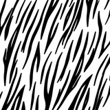 Fototapeta Zebra - zebra skin background