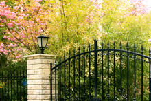 Peaceful Black Iron Gate With Colorful Plants And Lamp