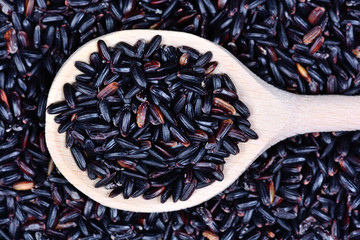 Wall Mural - Black rice in a spoon