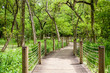 Wooden winding bridge over swamp  in park