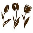 Set of tulip silhouette. Vector illustration. Collection of decorative flowers