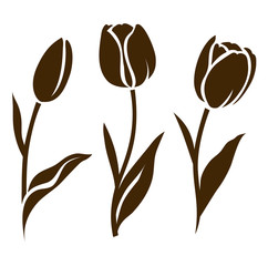 Aufkleber - Set of tulip silhouette. Vector illustration. Collection of decorative flowers
