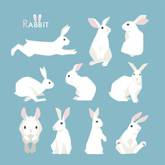 rabbit animal vector illustration flat design
