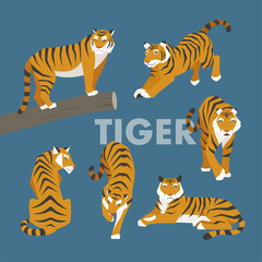 Wall Mural - tiger wildlife animal vector illustration flat design
