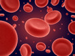 Many Erythrocytes in blood