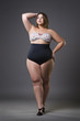 Plus size fashion model in sexy swimsuit, young fat woman on gray background, overweight female body