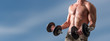 © thodonal - Torso of athletic young man lifting dumbbells