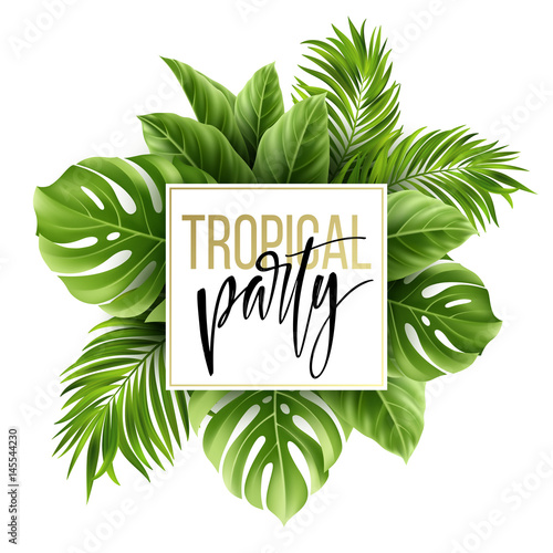 Foto Summer tropical leaf background with exotic palm leaves