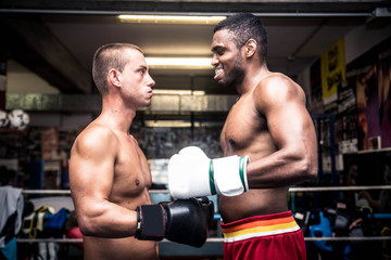 Wall Mural - Boxing match