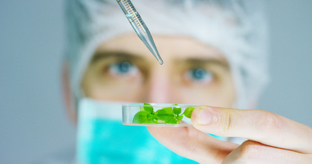 A scientist in a laboratory analyzes the soil and the plants inside to collect the plant DNA. Concept: analysis, dna, bio, microbiology, augmented reality, biochemistry, immersive technology