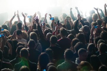 Wall Mural - crowd during a concert