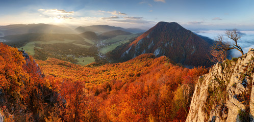 Wall Mural - Slovakia forest autumn panorana landscape with mountain at sunrise