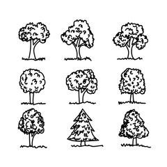 Hand drawn tree
